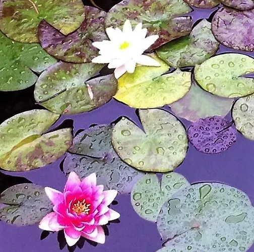 Holiday home Homes D&d