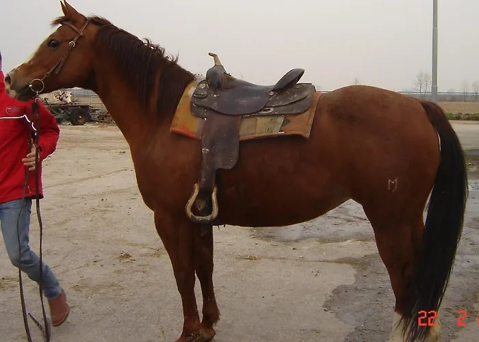 Homes D&d Holiday home