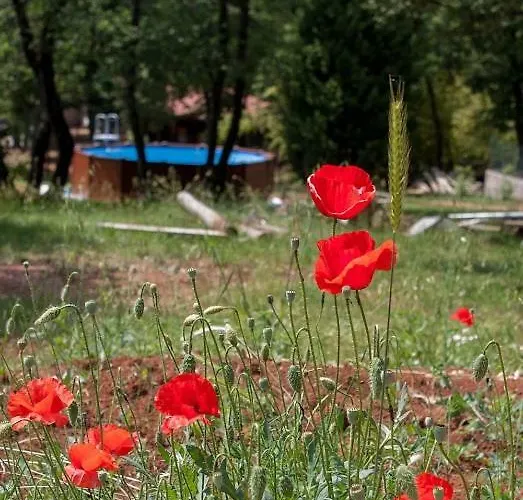 Homes D&d Holiday home